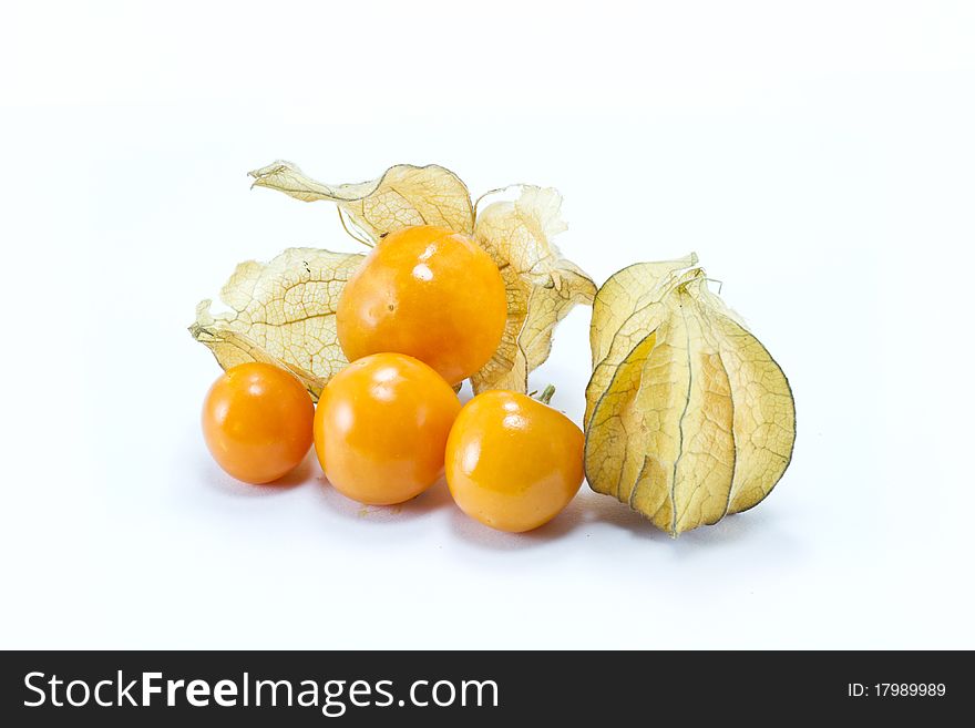 Physalis fruit isolated on white