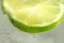 Slice Of Lime In Water With Bubbles Royalty Free Stock Images Slice Of Lime In Water With Bubbles Royalty Free Stock Images