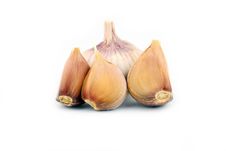 Garlic Royalty Free Stock Photos Garlic Royalty Free Stock Photos