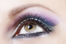 Violet And Blue Make-up Royalty Free Stock Photography Violet And Blue Make-up Royalty Free Stock Photography