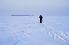 Cross-country Skier In Deep Tracks Royalty Free Stock Image Cross-country Skier In Deep Tracks Royalty Free Stock Image