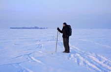 Cross-country Skier Royalty Free Stock Photos Cross-country Skier Royalty Free Stock Photos