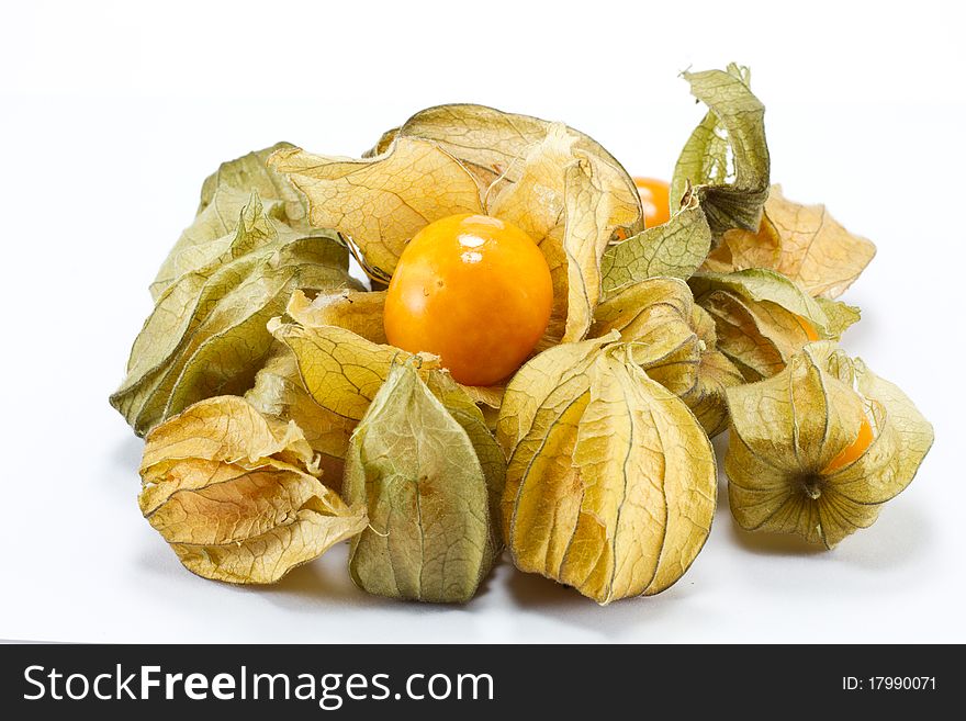 Physalis Fruit