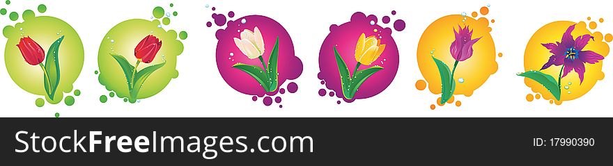 Set of bright color tulips. Set of bright color tulips