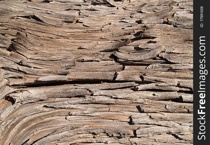 Wood Texture