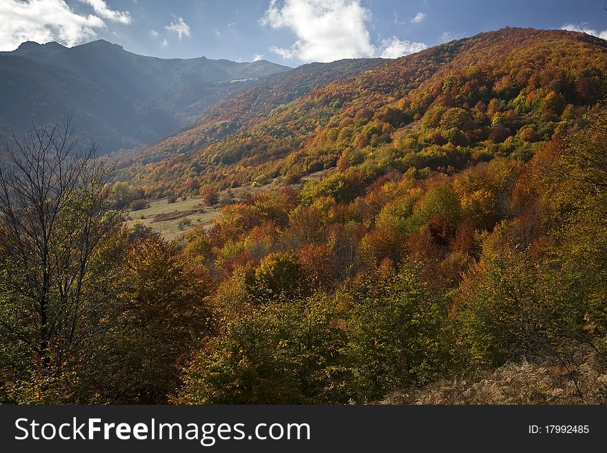 Beautiful landscape of colorful sunlit autumn forest. Beautiful landscape of colorful sunlit autumn forest