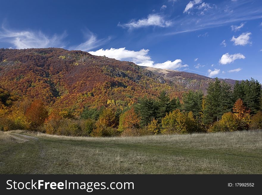 Beautiful landscape of colorful sunlit autumn forest. Beautiful landscape of colorful sunlit autumn forest