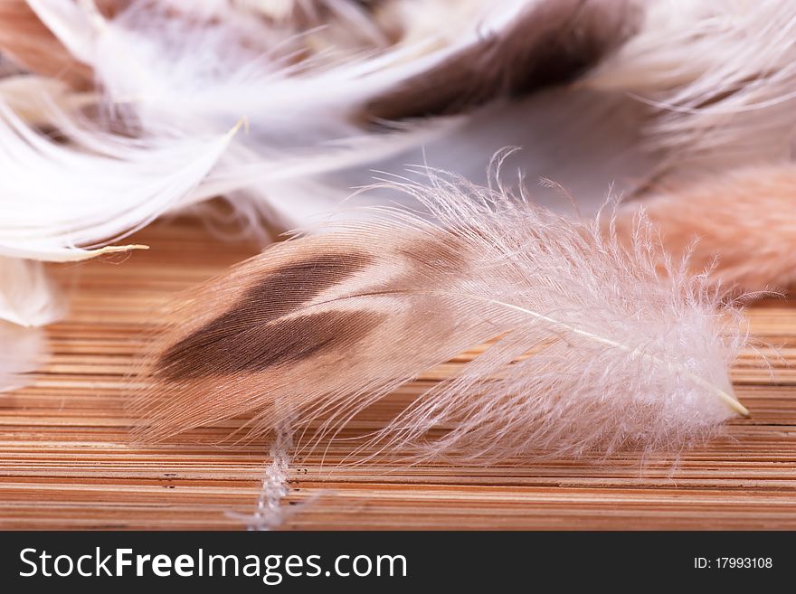 A heap of soft feathers on a straw background