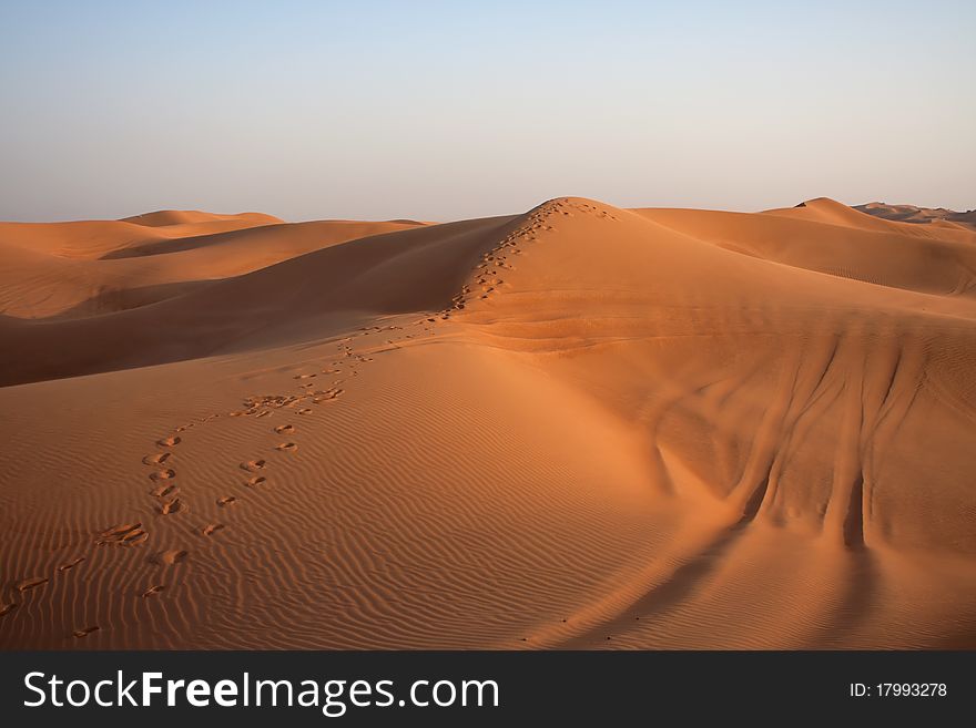 The sand dunes in the eastern desert