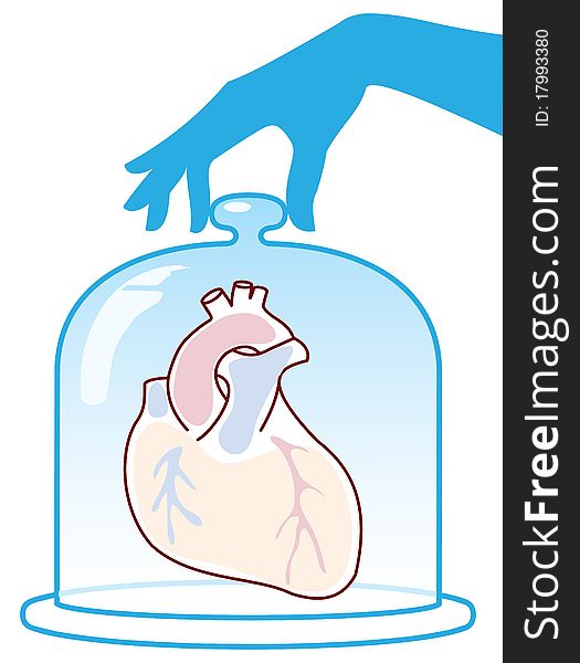 Heart is protected by a bell jar. Vector illustration.