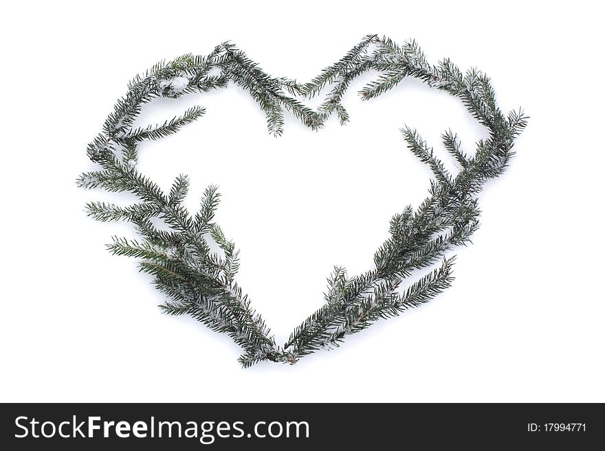 Heart of pine tree branches on snow. Heart of pine tree branches on snow