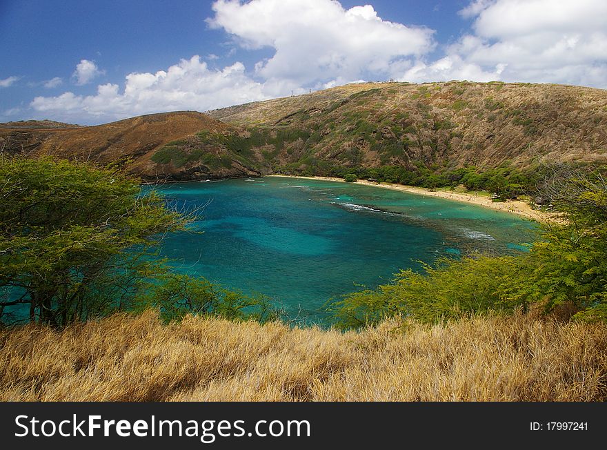 Tropical Gulf Landscape Blue sky