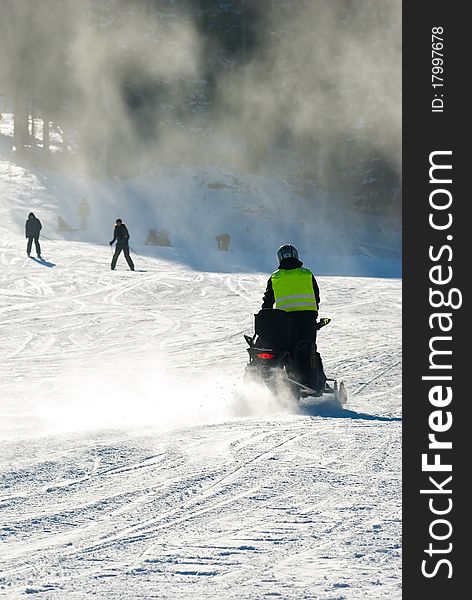 Detail from the slopes of Kopaonik. Detail from the slopes of Kopaonik