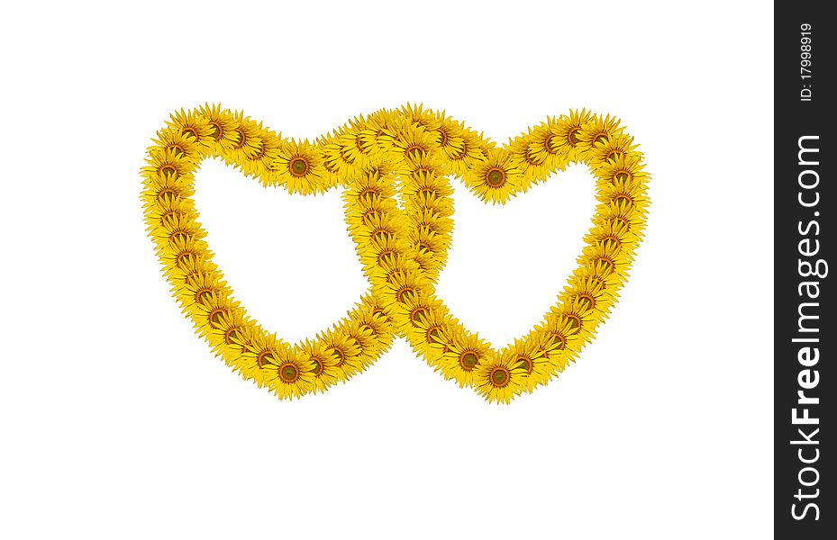Sunflower petals in heart symbol isolated on white