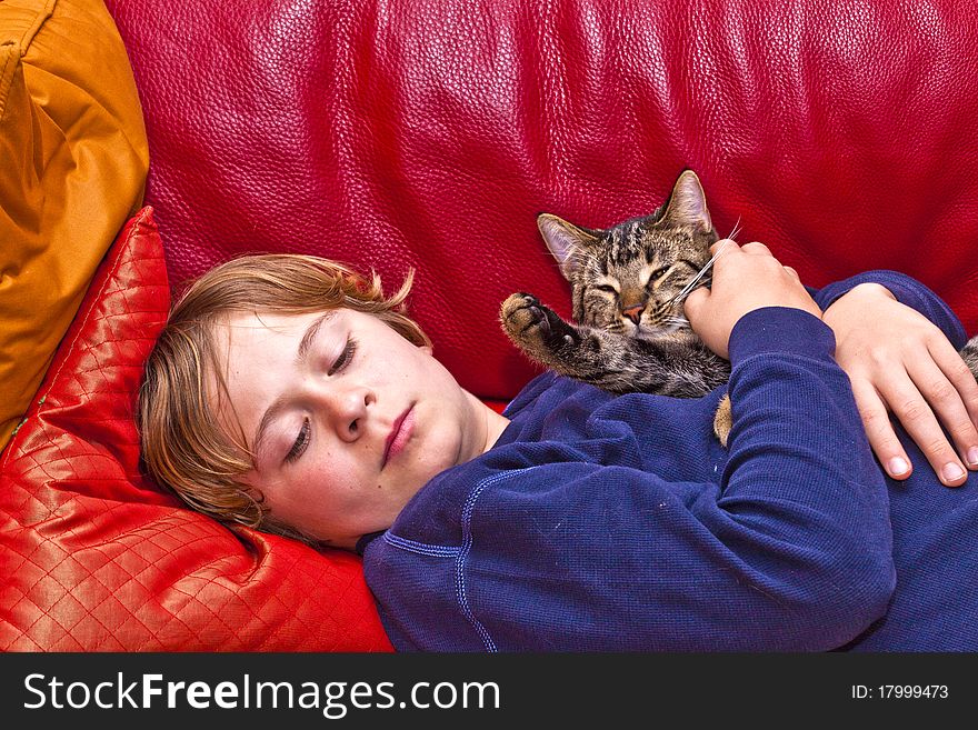 Young boy is hugging his cat at the sofa