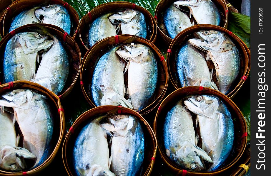 Steamed Mackerel is a food protein.