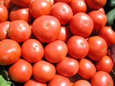 Tomatoes Closeup Stock Images Tomatoes Closeup Stock Images