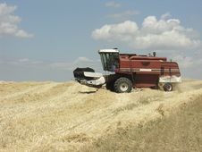 Farming Stock Photos Farming Stock Photos