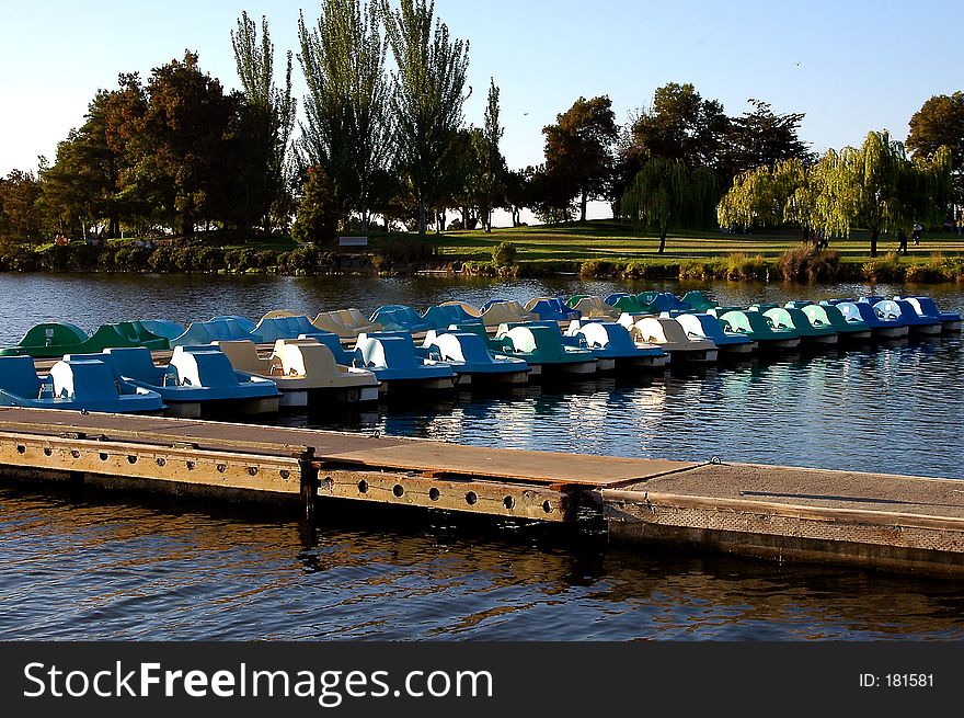 Paddle Boats In For Day