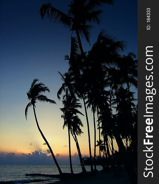 A tropical sunset in Hawaii