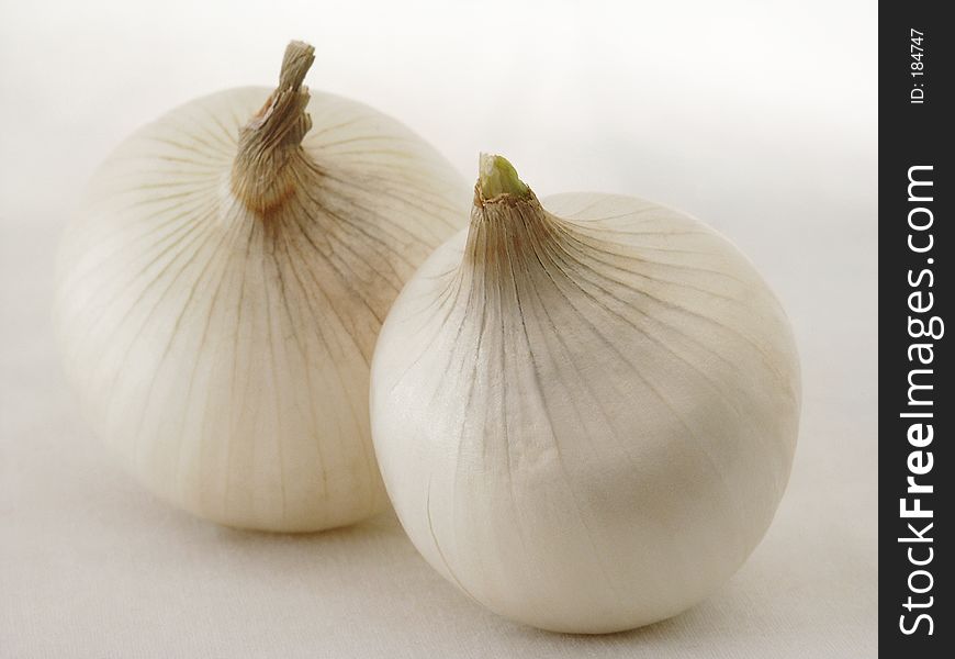 Two white onions on white background. In middle shadow.