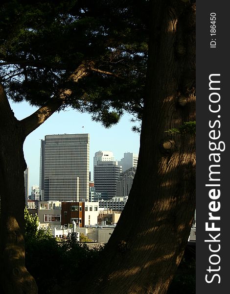 San Francisco City Buildings From Park. San Francisco City Buildings From Park