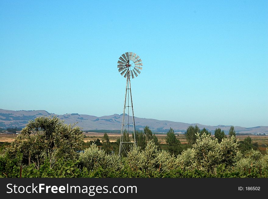 Windmill