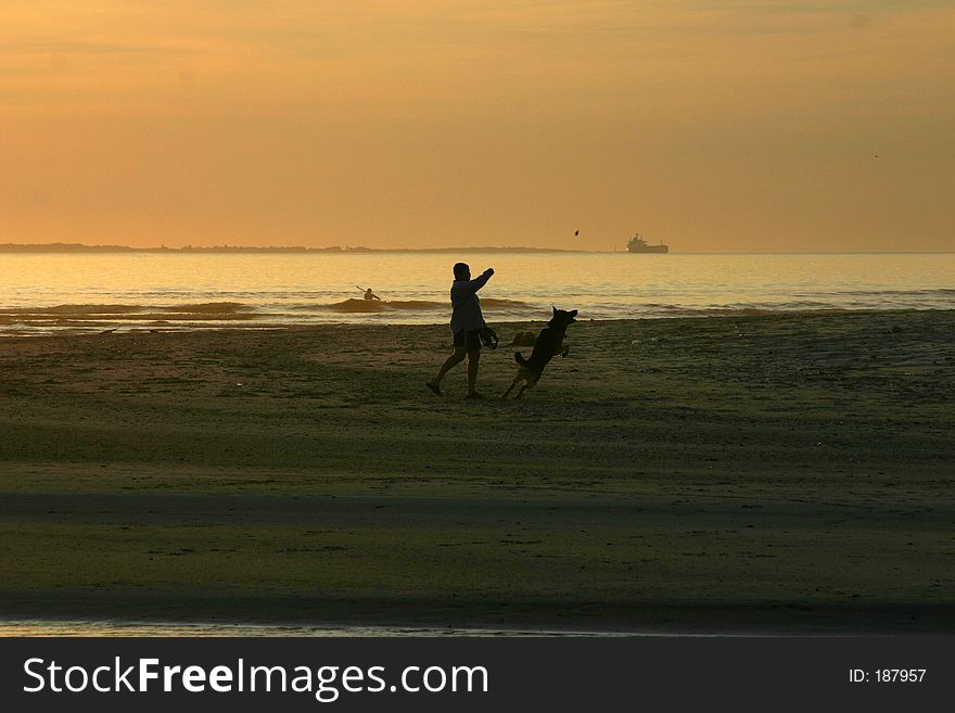 Man playing catch with dog. Man playing catch with dog