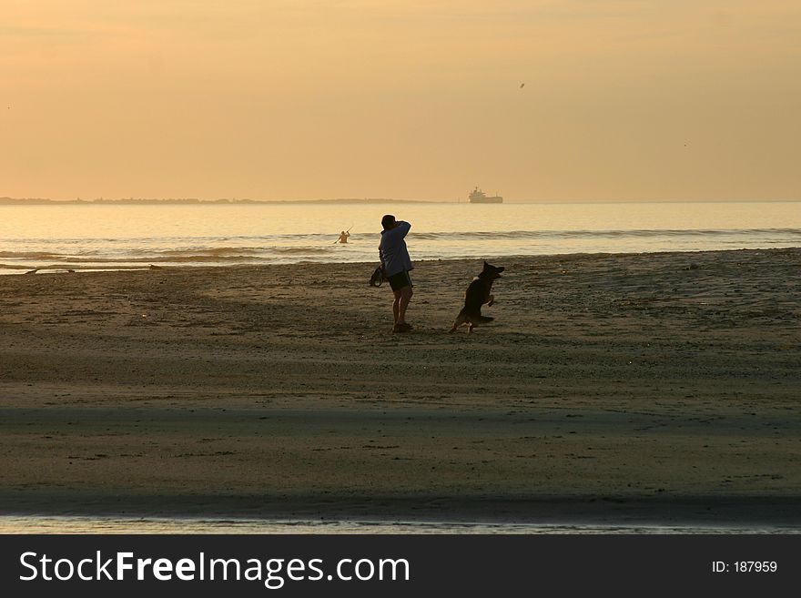 Man throwing ball to dog. Man throwing ball to dog