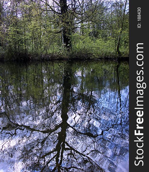 This is a refection of a tree in Wanstead Park. This is a refection of a tree in Wanstead Park.