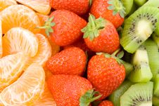 Mandarine, Strawberry And Kiwi Stock Image Mandarine, Strawberry And Kiwi Stock Image