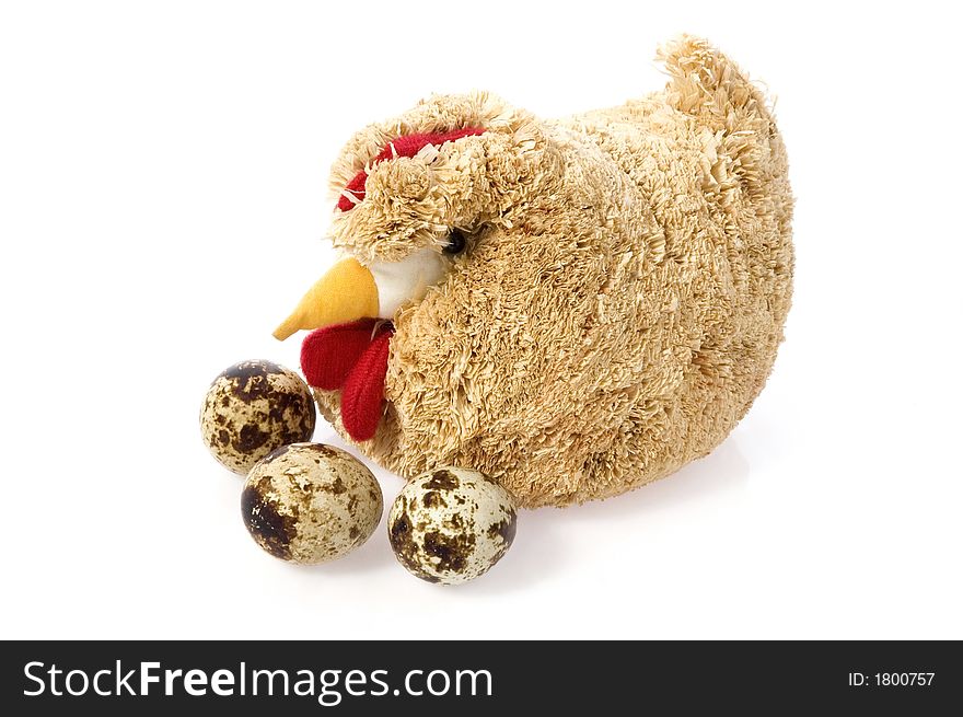 Easter bird and eggs isolated on the white background