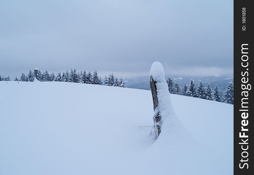 Snow time in december when the weather is most beautiful. Snow time in december when the weather is most beautiful.