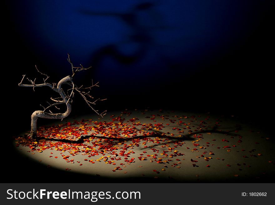 Studio picture. Dramatic artificial autumn. Dead bonsai tree on paperwork lighted by spot lamp and spot-flashed on blue background for thunderfeeling in dramatic mood.