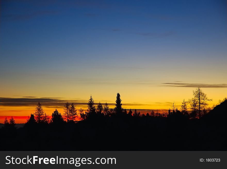 Trees silhouetted against a sunrise, mountain area. Trees silhouetted against a sunrise, mountain area