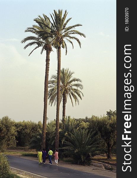 Evening walk of a Moroccan family in Menara Garden, Marrakech, Morocco