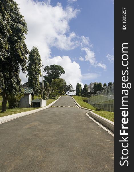 Concrete path beside a greenhouse