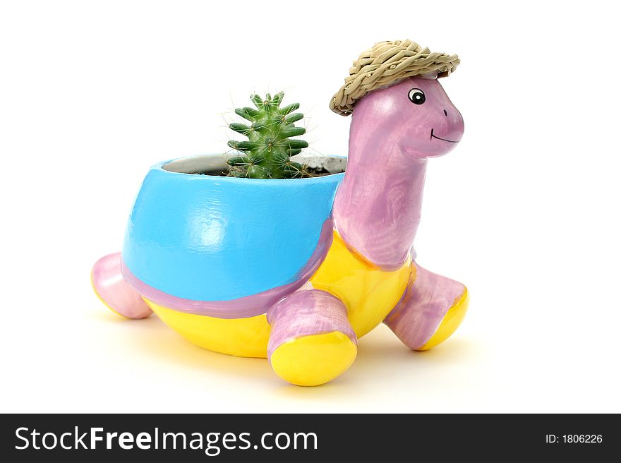 Color pot for plants a turtle. Color pot for plants a turtle
