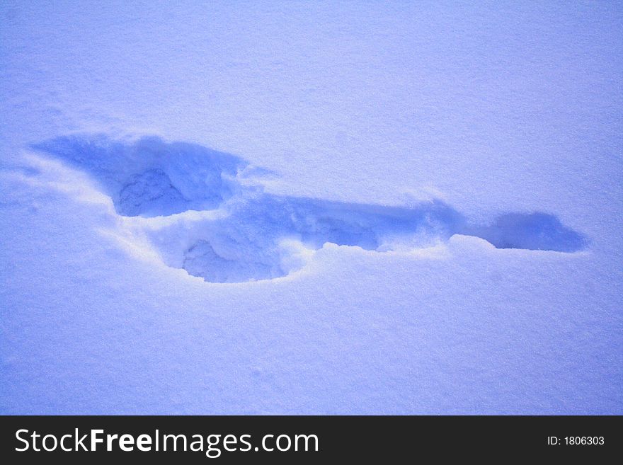 Footprint on fresh snow