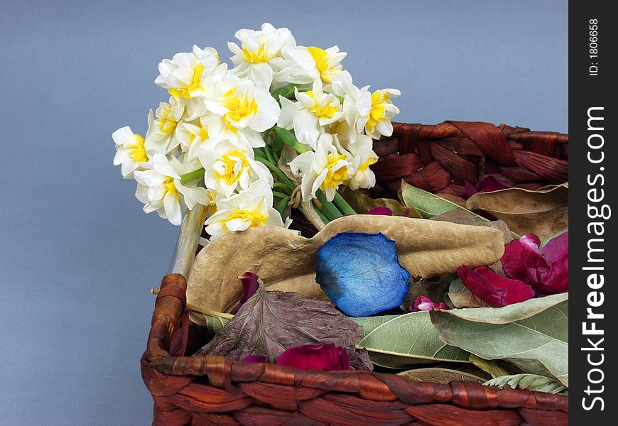 Flower into a wooden basket with rose petals and tree leaves. Flower into a wooden basket with rose petals and tree leaves