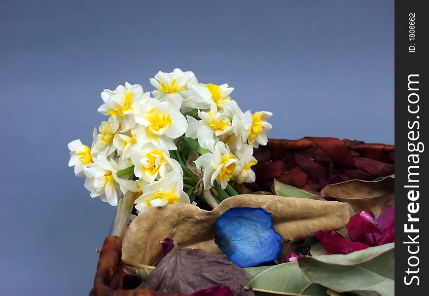 Flower into a wooden basket with rose petals and tree leaves. Flower into a wooden basket with rose petals and tree leaves