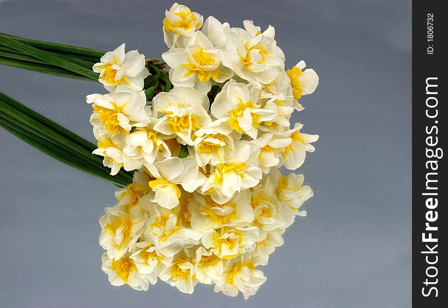 A white and yellow flowers reflected on a mirror