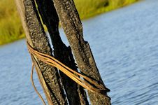 Burned Pier Posts In Waterway Stock Photos Burned Pier Posts In Waterway Stock Photos