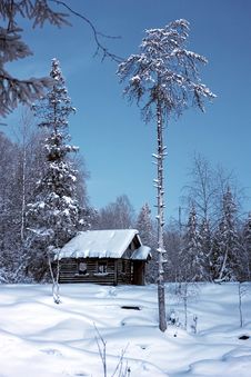Winter Rural Landscape Stock Photo Winter Rural Landscape Stock Photo