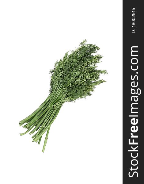 Bunch dill herb isolated on white background