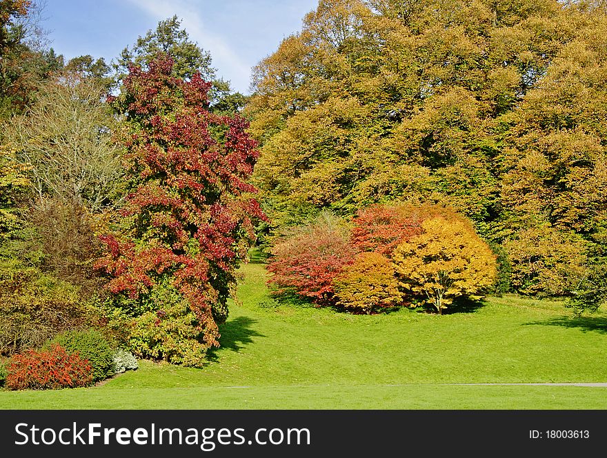 Autumn Colours In An English Park