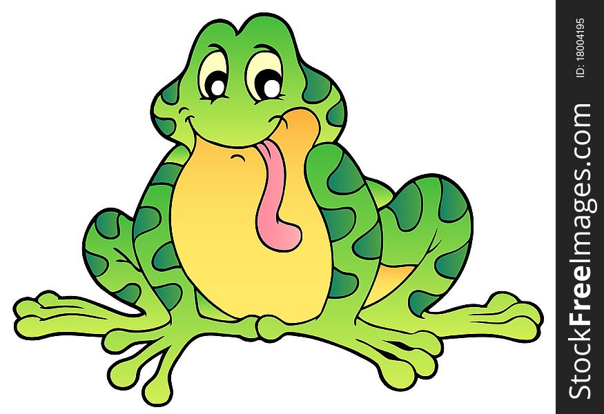 Green sitting frog - illustration.