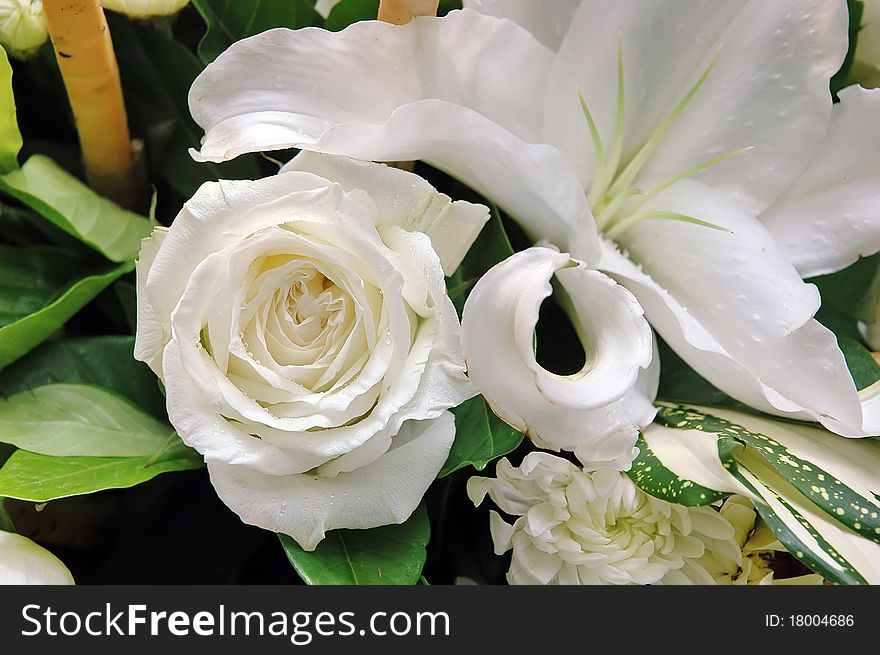 Roses In Bouquet