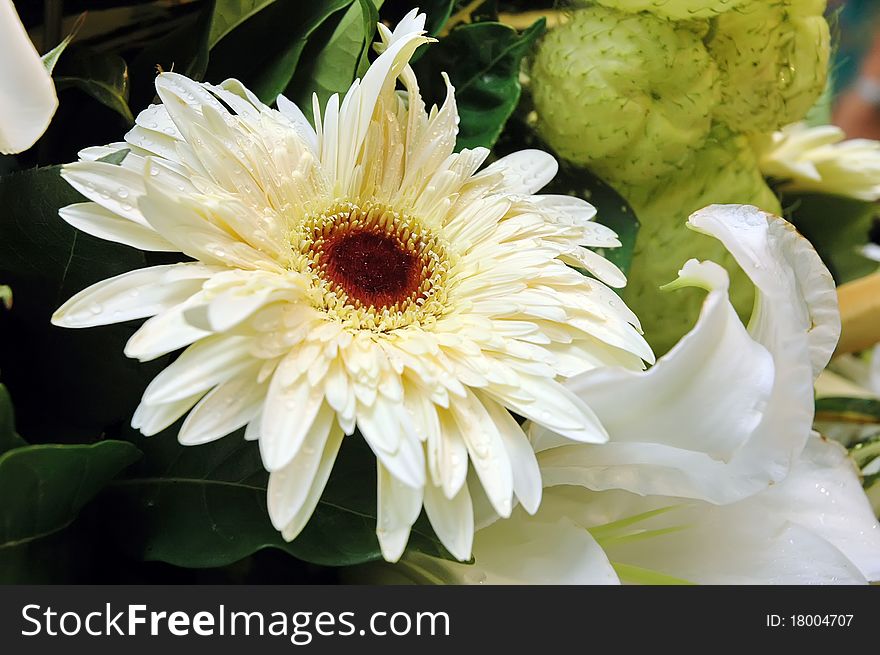 Roses In Bouquet