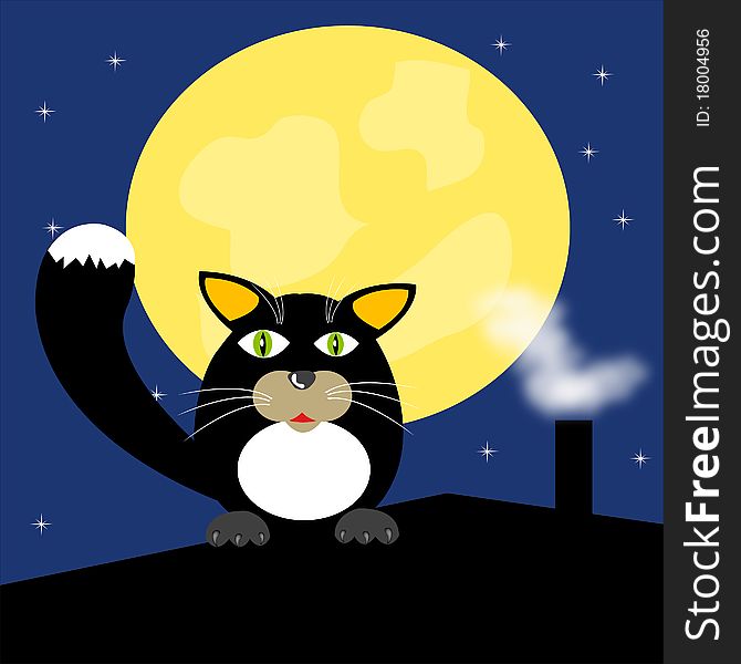 Black cat on roof moon in the night